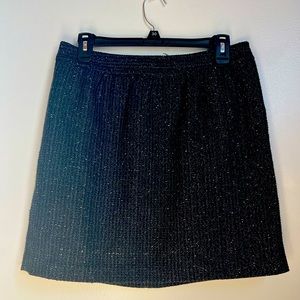Beautiful skirt Ann Taylor Loft skirt
